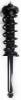 1345794 Suspension Strut and Coil Spring Assembly - image 1