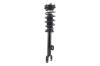 1345795 Suspension Strut and Coil Spring Assembly - image 1