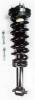 1345816L Suspension Strut and Coil Spring Assembly - image 1