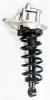 1345823R Suspension Strut and Coil Spring Assembly - image 1