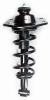 1345826L Suspension Strut and Coil Spring Assembly - image 1