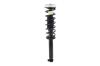 1345842L Suspension Strut and Coil Spring Assembly - image 1