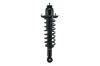 1345845L Suspension Strut and Coil Spring Assembly - image 1
