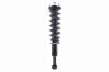 1345849R Suspension Strut and Coil Spring Assembly - image 1