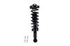 1345882R Suspension Strut and Coil Spring Assembly - image 1