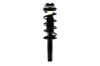 1345892 Suspension Strut and Coil Spring Assembly - image 1