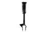 1345906L Suspension Strut and Coil Spring Assembly - image 1