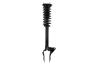 1345906R Suspension Strut and Coil Spring Assembly - image 1
