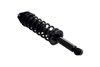 1345919 Suspension Strut and Coil Spring Assembly - image 2