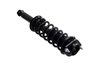 1345919 Suspension Strut and Coil Spring Assembly - image 4