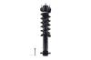 1345933 Suspension Strut and Coil Spring Assembly - image 1