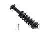 1345933 Suspension Strut and Coil Spring Assembly - image 4