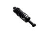 1345935 Suspension Strut and Coil Spring Assembly - image 2