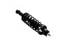 1345935 Suspension Strut and Coil Spring Assembly - image 4