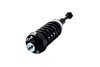 1345950 Suspension Strut and Coil Spring Assembly - image 3
