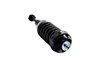1345950 Suspension Strut and Coil Spring Assembly - image 4