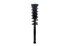 1345954L Suspension Strut and Coil Spring Assembly - image 1