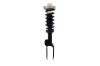 1345957L Suspension Strut and Coil Spring Assembly - image 1
