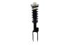 1345957R Suspension Strut and Coil Spring Assembly - image 1