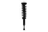 1345978L Suspension Strut and Coil Spring Assembly - image 1