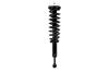 1345978R Suspension Strut and Coil Spring Assembly - image 1