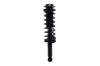 1355005 Suspension Strut and Coil Spring Assembly - image 1