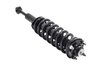 1355017L Suspension Strut and Coil Spring Assembly - image 4