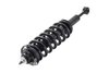 1355017R Suspension Strut and Coil Spring Assembly - image 3