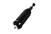 1355027L Suspension Strut and Coil Spring Assembly - image 3