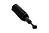 1355027R Suspension Strut and Coil Spring Assembly - image 2