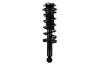 1355028 Suspension Strut and Coil Spring Assembly - image 1