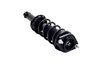 1355028 Suspension Strut and Coil Spring Assembly - image 4