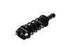 1355029 Suspension Strut and Coil Spring Assembly - image 3