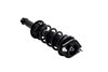 1355029 Suspension Strut and Coil Spring Assembly - image 4