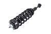 1355030L Suspension Strut and Coil Spring Assembly - image 3