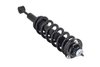 1355030L Suspension Strut and Coil Spring Assembly - image 4
