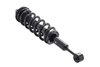 1355030R Suspension Strut and Coil Spring Assembly - image 2