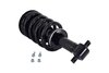 1355037 Suspension Strut and Coil Spring Assembly - image 2
