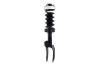 1355038L Suspension Strut and Coil Spring Assembly - image 1