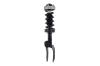1355039L Suspension Strut and Coil Spring Assembly - image 1
