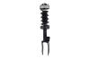 1355039R Suspension Strut and Coil Spring Assembly - image 1