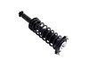 1355046L Suspension Strut and Coil Spring Assembly - image 4