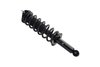 1355049L Suspension Strut and Coil Spring Assembly - image 2