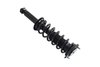 1355049L Suspension Strut and Coil Spring Assembly - image 4