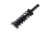 1355049R Suspension Strut and Coil Spring Assembly - image 3