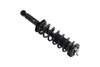 1355049R Suspension Strut and Coil Spring Assembly - image 4