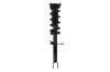 1355050L Suspension Strut and Coil Spring Assembly - image 1