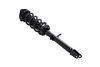 1355050L Suspension Strut and Coil Spring Assembly - image 2