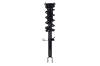 1355050R Suspension Strut and Coil Spring Assembly - image 1