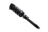 1355050R Suspension Strut and Coil Spring Assembly - image 2